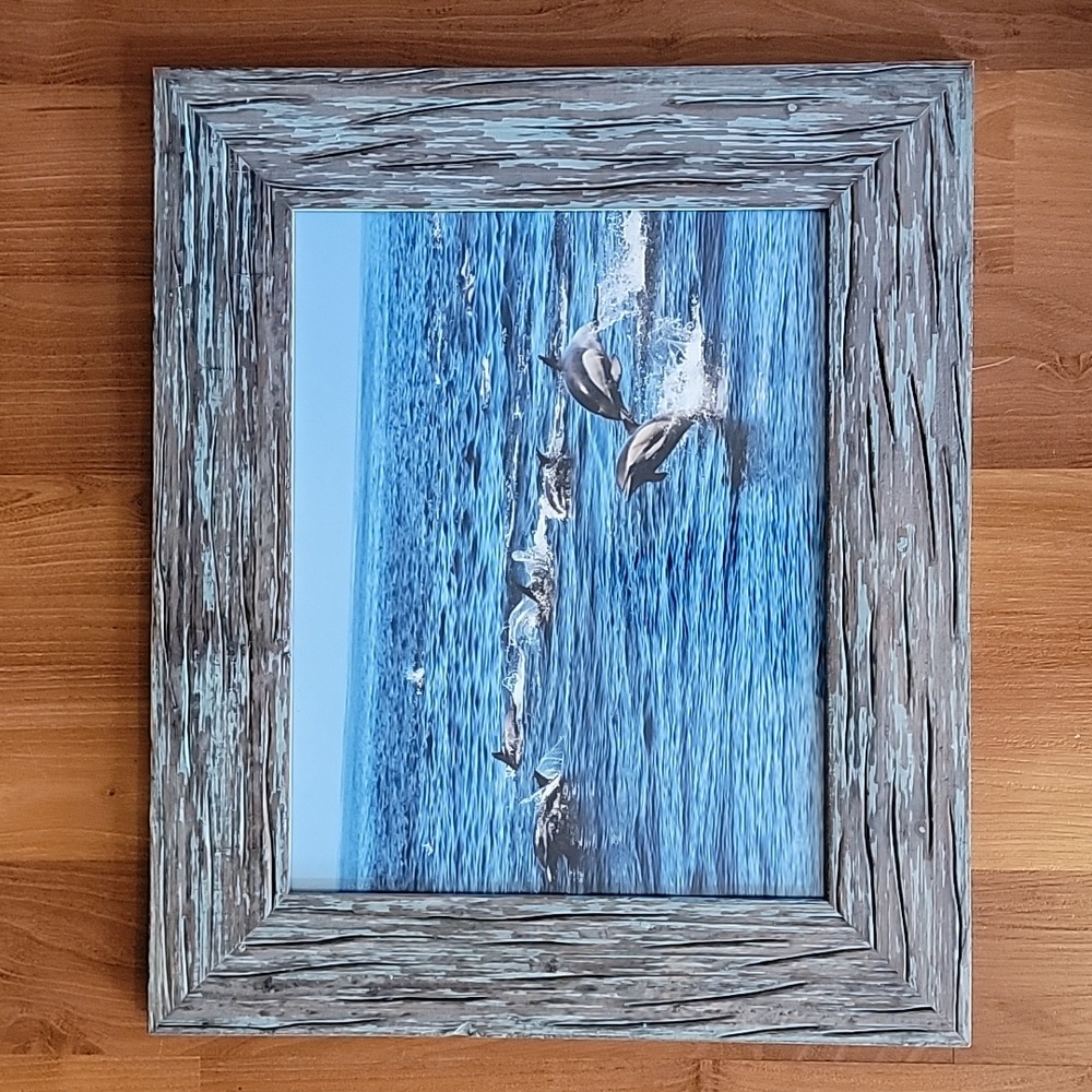Local Photographer.Framed photo wall hanging.Beautiful frame16 X 19